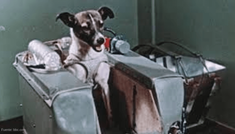 Laika, la primera criatura viva en el espacio