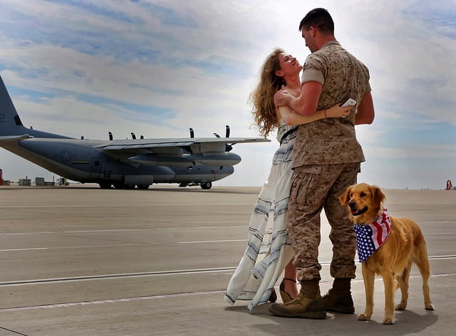 Perros militares tienen colección de sellos postales