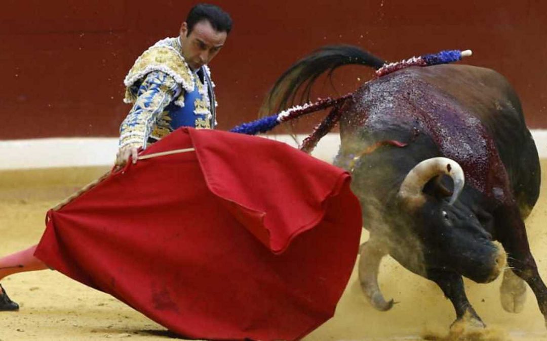El maltrato animal en España... corrida de toros