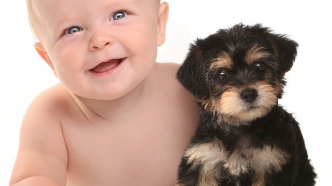 Mejores razas de perros para niños | 9 encantadoras opciones