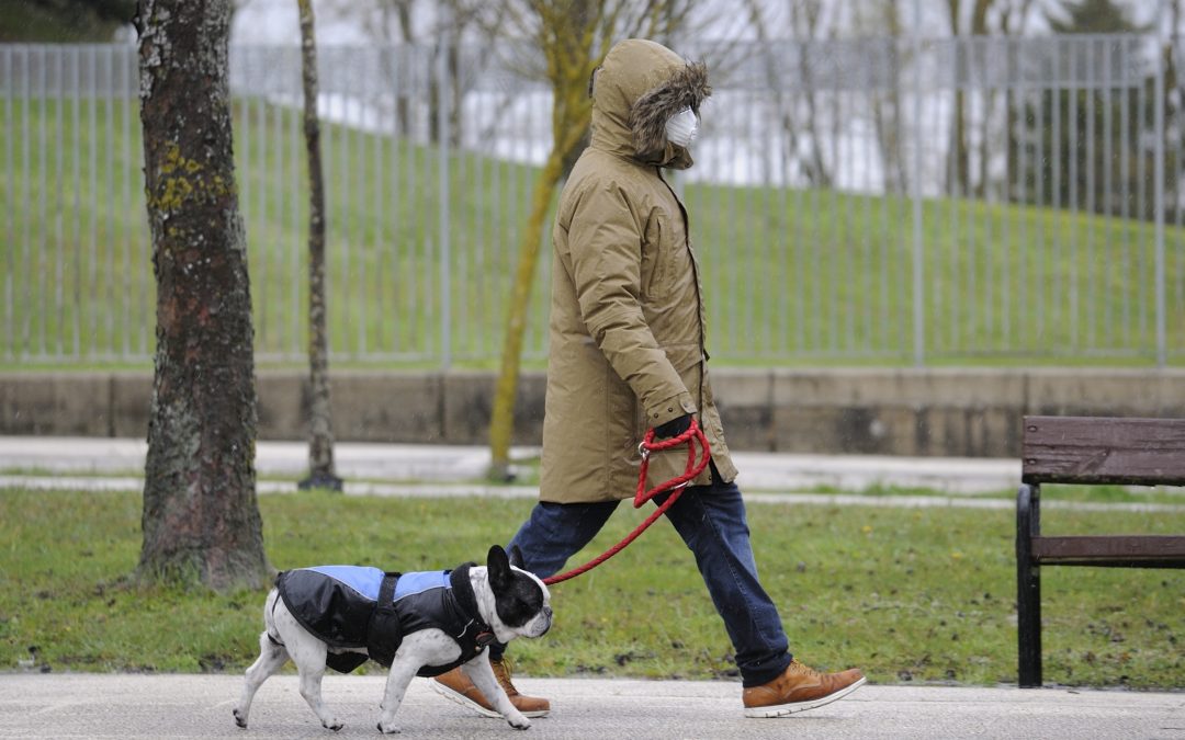 Lleve su perro a pasear siguiendo las normas para protegerse del coronavirus