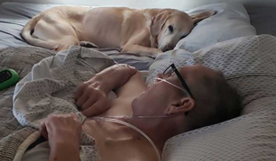 La historia de Daniel y Gunner: Perro fiel hasta la muerte