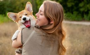 póliza para mascotas