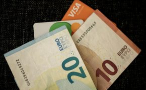 Precio seguro obligatorio perro 2026 | Comparativa ayuda